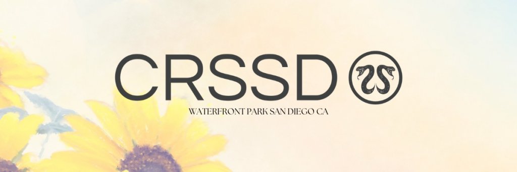 Check these Tips on How to Prepare Your Trip to CRSSD festival