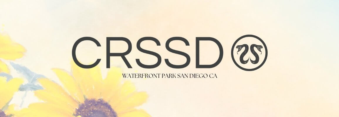 Check these Tips on How to Prepare Your Trip to CRSSD festival